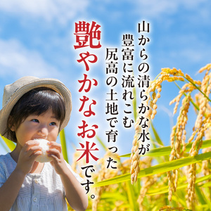 【令和8年産新米】松本さんが作った上毛町尻高地区産の厳選米「夢つくし」9kg _K00701