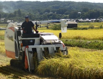 【令和8年産・餅米5kg】五郎兵衛さんのお米　 ＜2026年11月中旬以降順次配送＞ 長野県 信州  新米 こしひかり【 もち米 餅米 五郎兵衛 長野県 佐久市 】