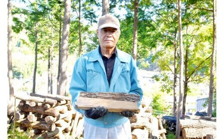 【山梨県市川三郷町産】キャンプ・アウトドアに広葉樹乾燥薪20㎏[5839-1575]