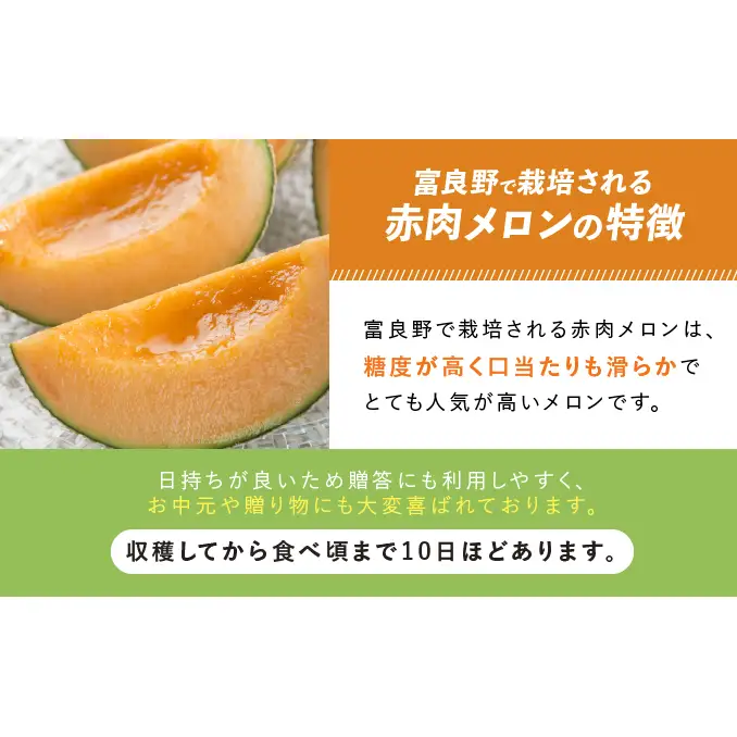 TVで話題【2026年発送】北海道 富良野 赤肉 メロン 2玉 計3.2kg以上