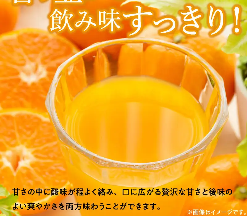 みかんジュース 1L×6本「ゆら絞りみかん 無添加」_DG6009