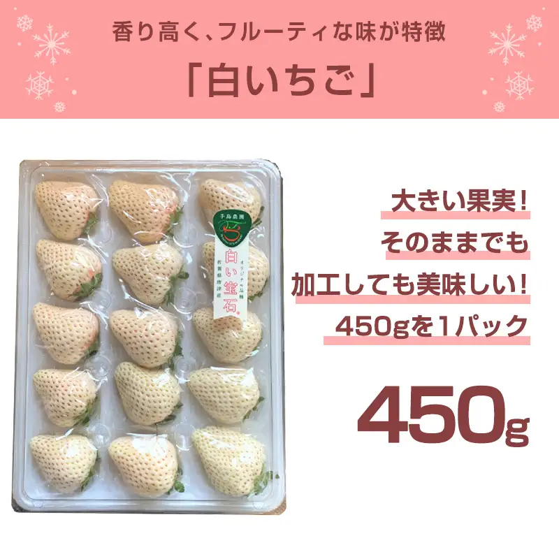 『先行予約』【令和9年2月上旬から4月下旬までにお届け】白い宝石 白いちご 450g 贈答用 いちご イチゴ 苺 フルーツ 果物 希少
