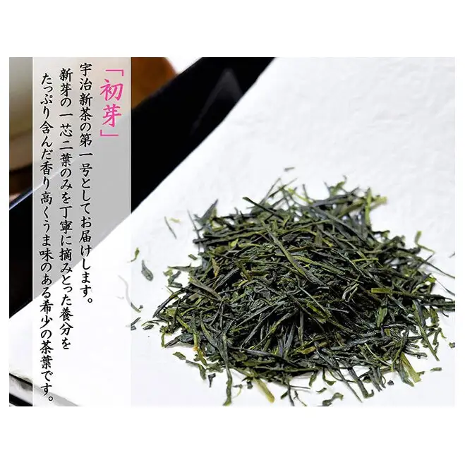 京都茶匠きよ泉の宇治新茶3袋セット〈お茶 茶 新茶 緑茶 煎茶 セット 茶葉 飲料〉