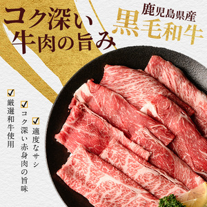 鹿児島県産黒毛和牛肩ローススライス600g カミチク IB112-005 牛肉 牛肉 