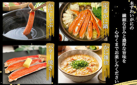 本ずわいがに ほんまにうまい 生本ずわいがに 特大5L 本ずわいがに【3kg 7〜8肩】【冷凍】