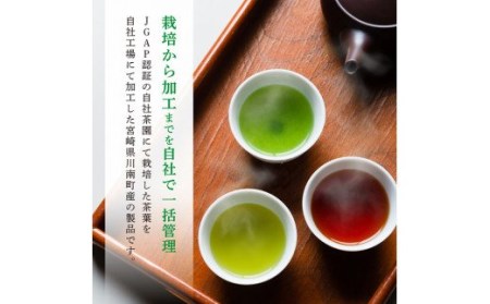 「六車農園」お茶Ｍセット 【 九州産お茶 宮崎県産お茶 川南町産お茶 茶 お茶 ティーバッグ 国産茶 飲料 日本茶 飲みやすい 使いやすいお茶 】