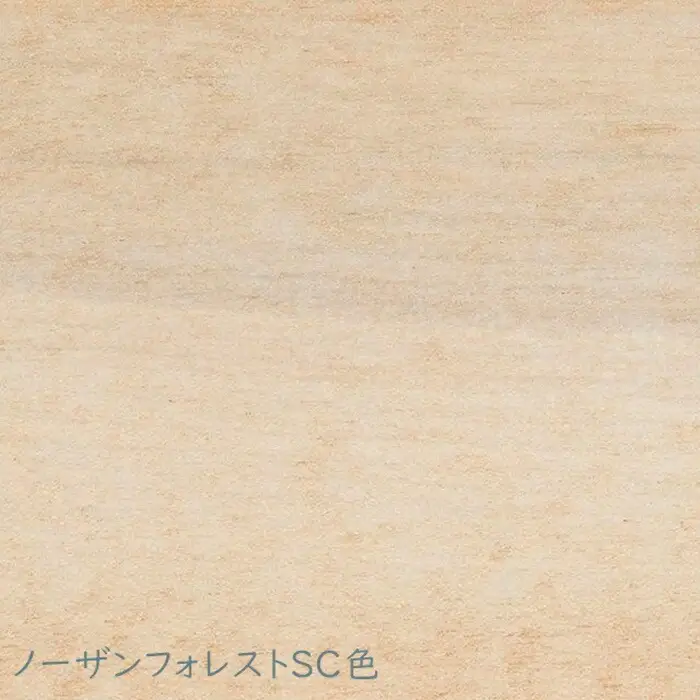 ノーザンフォレストダイニングチェアNC234《SC色》【0809301】