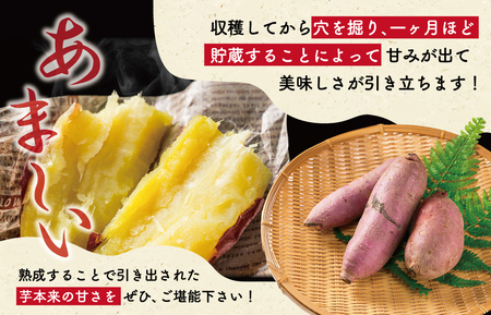 さつまいも 2kg 北山さんちの紅はるかさつまいも