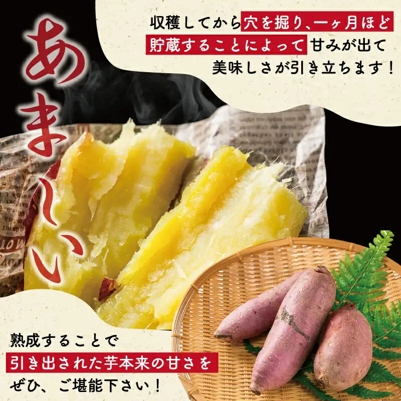 北山さんちのさつまいも 紅はるか 7kgさつまいも サツマイモ 薩摩芋 いも 芋 ほくほく 産地直送 新鮮 野菜 季節の野菜 旬 直送