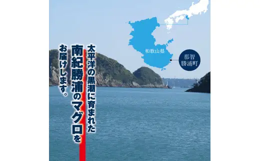 まぐろ とろ煮 180g×3個 / 鮪 マグロ 煮 角煮 おかず おつまみ ご飯のお供 人気 トロ 南紀勝浦【ttk007A】
