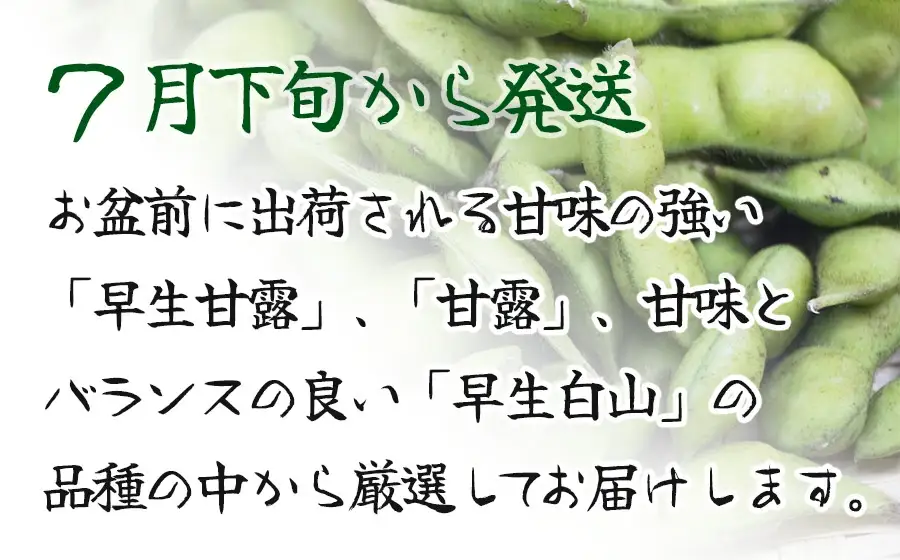 令和9年産 枝豆 ”元祖”森屋藤十郎の白山産だだちゃ豆「早生」1kg(500g×2袋) K-931
