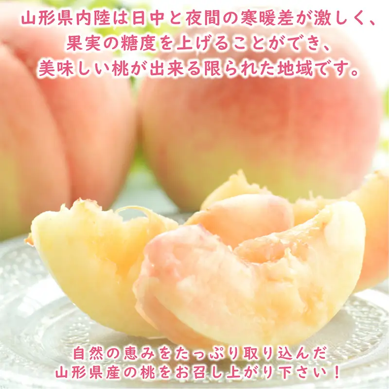 【2027年先行予約】※数量 ・期間限定※ 山形県産白桃 品種 玉数おまかせ 3kg FSY-2402