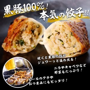 【訳あり・業務用】鹿児島県志布志産黒豚100％使用!南国熊曽黒豚餃子(60個) a1-060
