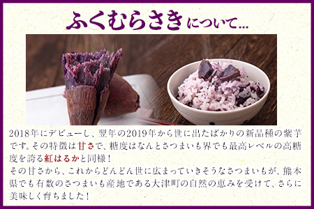 熊本県大津町産 ふくむらさき 5kg《2027年2月上旬-4月下旬頃出荷》 タカハマ観光農園 さつまいも 芋 紫芋 高糖度