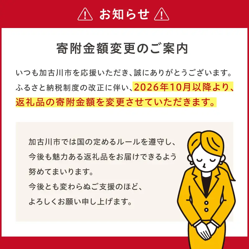 〈2026年10月以降から寄附金額改定〉衣類乾燥除湿機 air dryer DDA10【2509N09601】