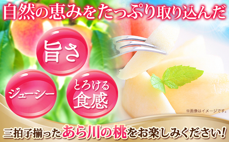 【2027年先行予約】桃 あら川の桃 約2kg