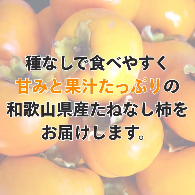 柿 【訳あり・ご家庭用】平核無柿（ひらたねなしがき）約3.5kg 和歌山秋の味覚【2026年10月上旬頃～11月上旬頃に順次発送予定】【UT31w】【Z91047-uot740】