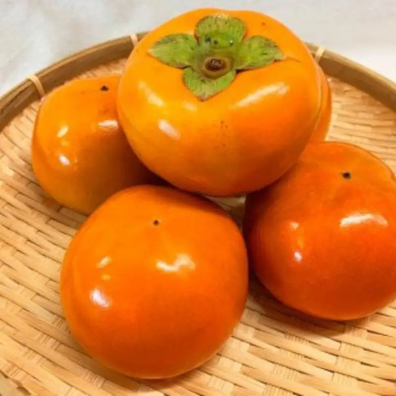 柿 【訳あり・ご家庭用】和歌山秋の味覚　富有柿　約3.5kg　【2026年11月上旬頃～2026年12月上旬頃発送予定】【UT51】【Z91048-uot741】