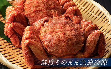 北海道産 冷凍ボイル毛ガニ 300g前後×2尾 ＜海鮮問屋　株式会社　瑞宝＞ かに カニ 蟹 ガニ がに 森町 ふるさと納税 北海道 毛蟹 毛かに 毛ガニ 毛カニ mr1-1466