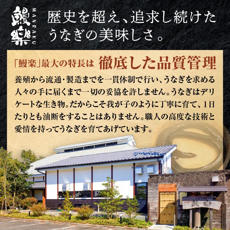 うなぎ 蒲焼 うなぎ[国産 3尾 計480g以上]