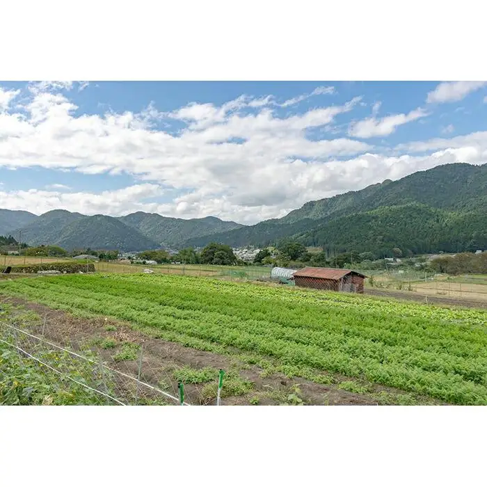 【つくだ農園】京都大原の里山から！旬の有機野菜BOXとジャムセット