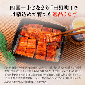 うなぎの蒲焼き(小) 2尾×3回 定期便 3ヶ月 定期コース タレ付き 山椒付き