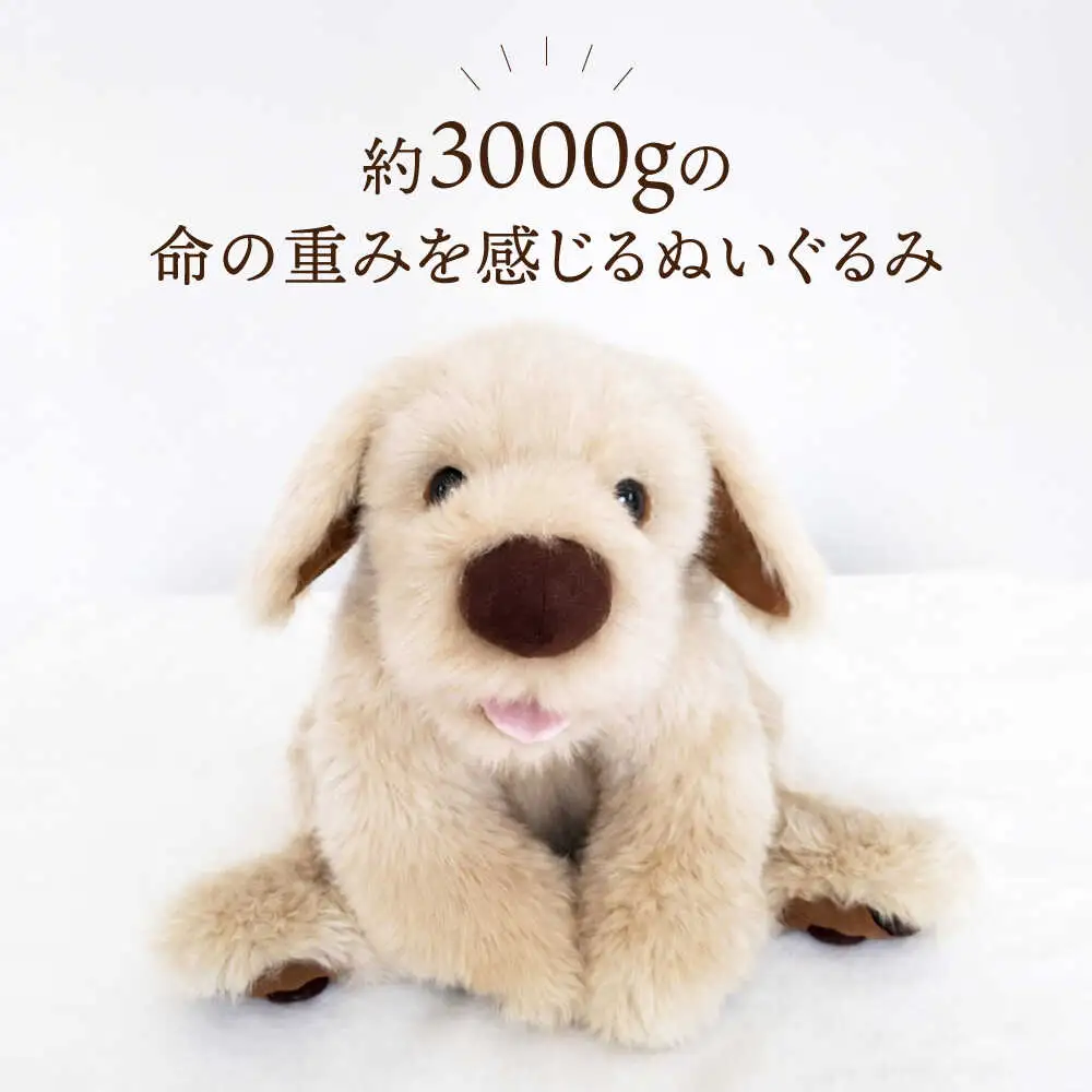 セラピー！？ ロボット？ 「 パトラン 」（ 重たい ぬいぐるみ ） 《糸島》【科学工房未來】 ぬいぐるみ セラピー 犬 プレゼント [AYI001]