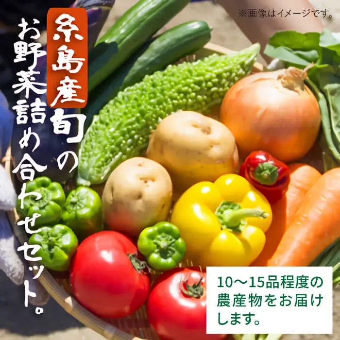 福岡県 糸島産 旬 の 野菜 盛り合わせ セット《糸島》【株式会社フロンティア・アドバンス】 [AWC006]