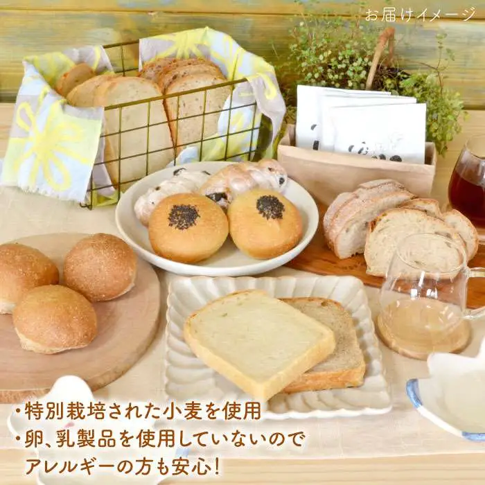 栽培期間 農薬 科学肥料 不使用 小麦 と ブラン の パン セット & UNIDOS 珈琲 5杯分 ( 卵 / 乳製品 不使用 )《糸島》【天然パン工房楽楽】 【いとしまごころ】[AVC021]