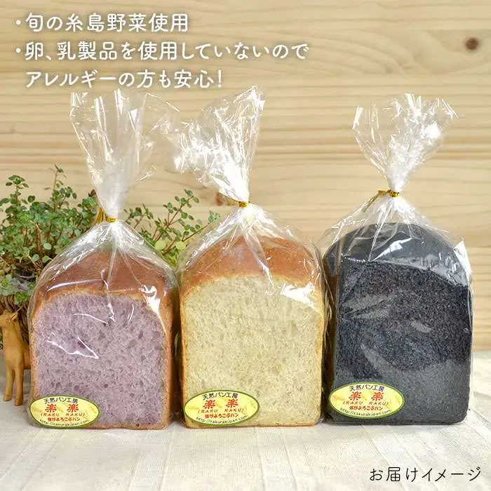 身体がよろこぶ 食パン 3種 セット ( 卵 / 乳製品 不使用 )《糸島》【天然パン工房楽楽】【いとしまごころ】[AVC012]