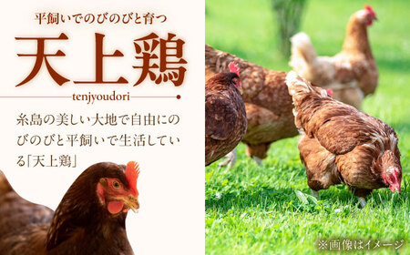 【 全12回 定期便 】 こだわり の 卵 「 天上卵 」 40個 セット 糸島市 / 糸島ファームハウスUOVO [AKH008]