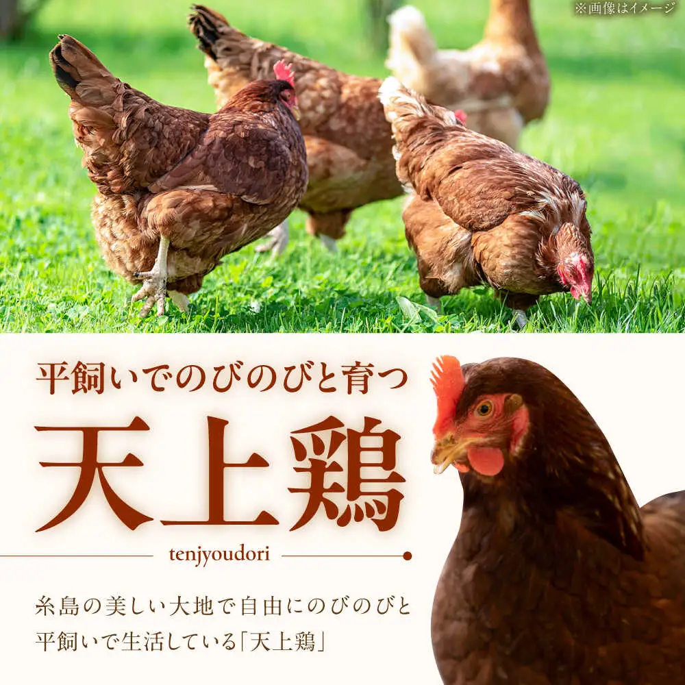 【 全3回 定期便 】  平飼い 卵  「 天上卵 」 20個 セット 糸島市 / 糸島ファームハウスUOVO [AKH002]