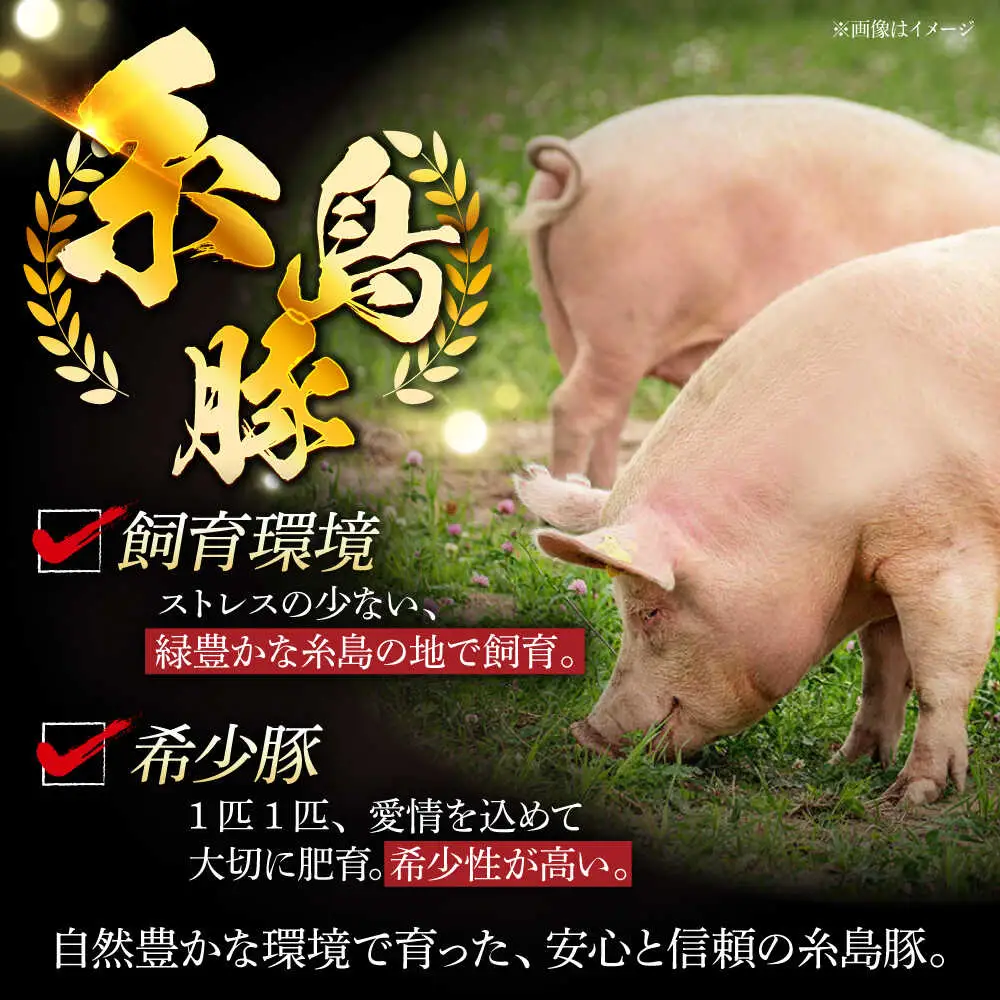 豚肉 糸島豚 バラエティ セット ( しゃぶしゃぶ / 肩ロース / とんかつ ) [AJD004] 豚肉 食べ比べ