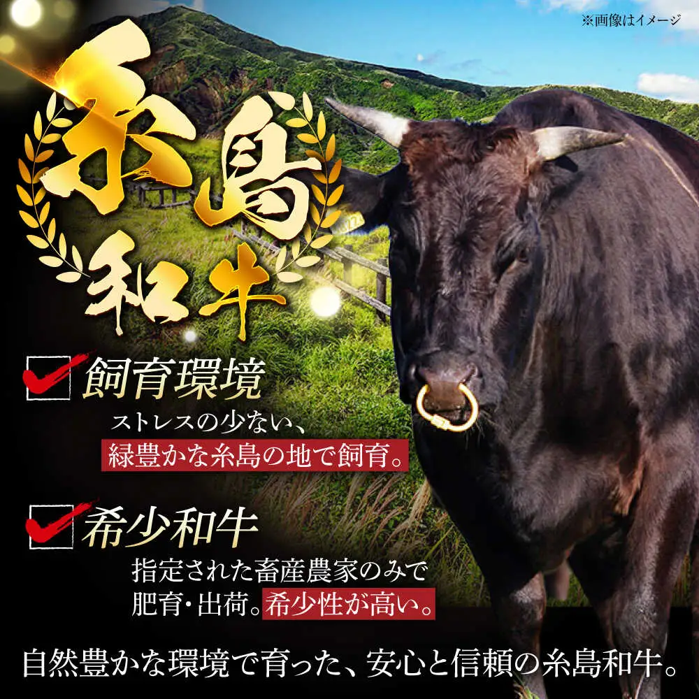 【月限定19個】 希少 和牛 糸島 和牛 リブロース スライス 400g 《糸島》【トラヤミートセンター】[AJD002]