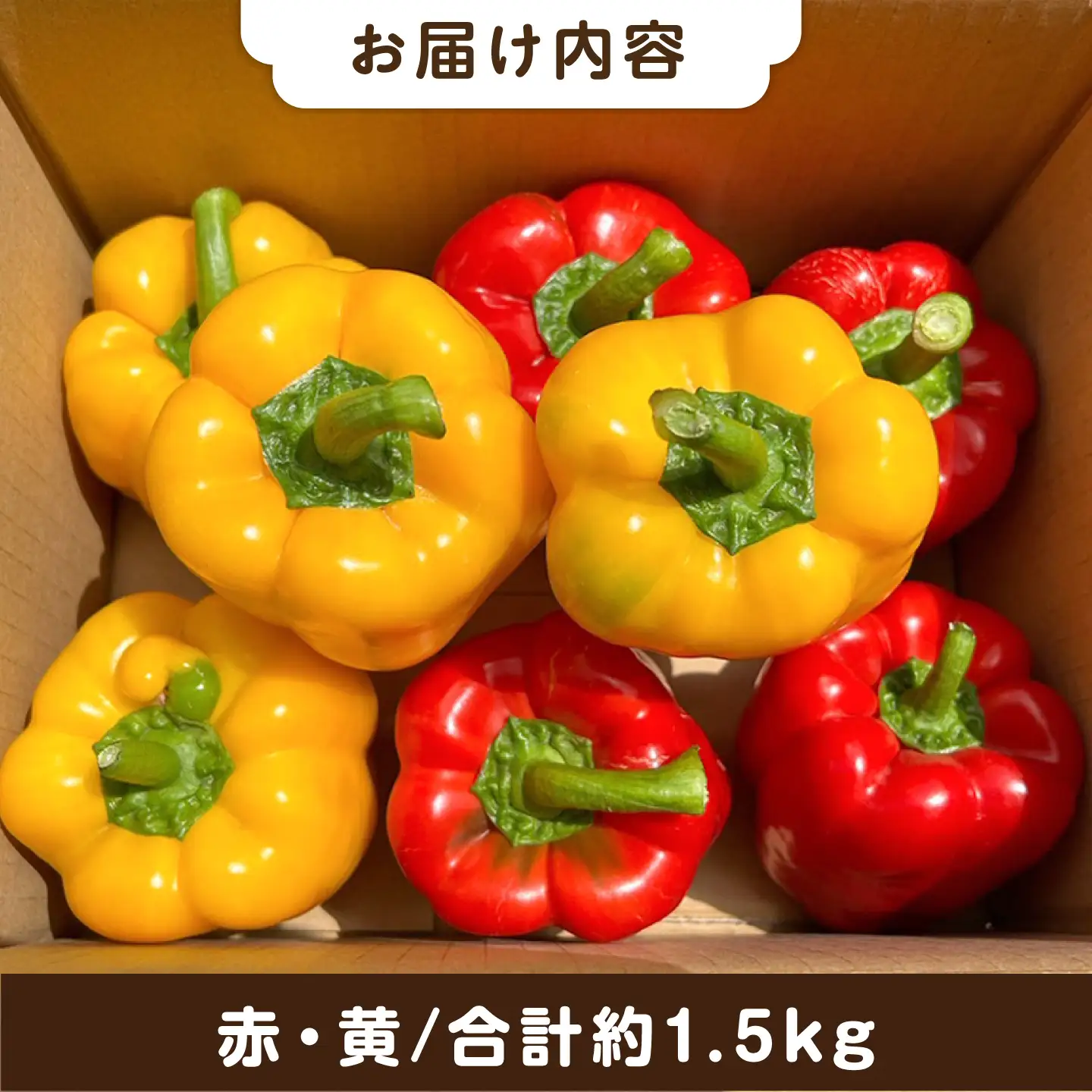 【先行受付】糸島産 肉厚 パプリカ 約1.5kg(8-12個) 【2026年11月以降順次発送】福岡県  糸島市 / シーブ [AHC031] 野菜 ピーマン