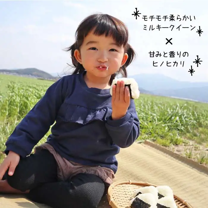  米 旋風 贅沢 ブレンド 5kg 《糸島》【百笑屋】 [ABF005]  米 お米 白米 精米 ひのひかり ヒノヒカリ ミルキークイーン ミルキークィーン