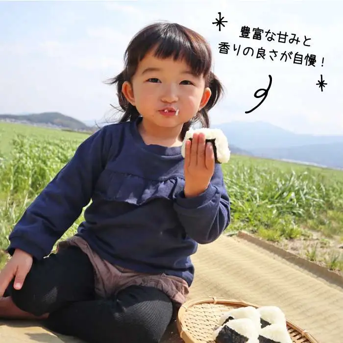 【 栽培期間中農薬不使用 】米 旋風 ヒノヒカリ 5kg 《糸島》【百笑屋】 [ABF003]   米 お米 白米 精米 ひのひかり