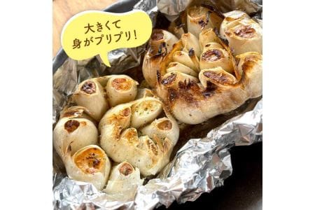 にんにく 500g 数量限定《糸島》【爽風農園】【いとしまごころ】[AHZ001]