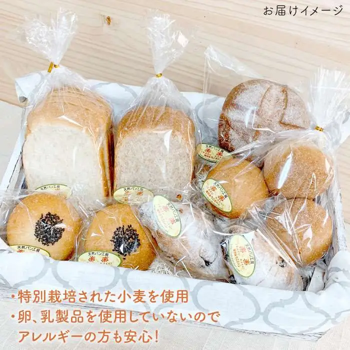 【 全12回 定期便 】栽培期間 農薬 科学肥料 不使用 小麦 と ブラン の パン セット ( 卵 / 乳製品 不使用 )《糸島》【天然パン工房楽楽】【いとしまごころ】[AVC020]