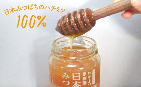【先行受付】福岡県 糸島産 わかまつ 果樹園 の 日本 蜜蜂 の はちみつ 100％ PURE RAW  【2026年11月以降、順次発送予定】《糸島》【わかまつ農園】[AHB009]