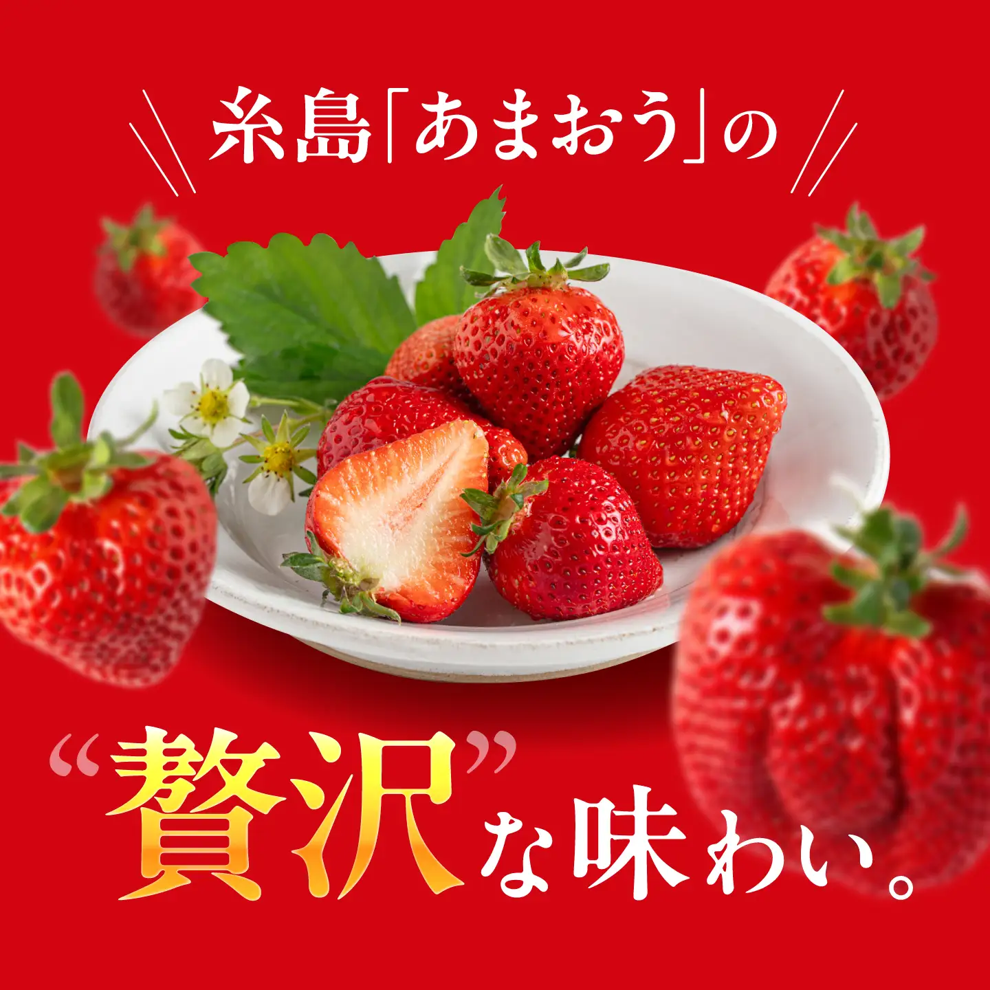 あまおう【2027年1〜2月配送】糸島のあまおう 270g×2パック [ATB003] いちご 果物