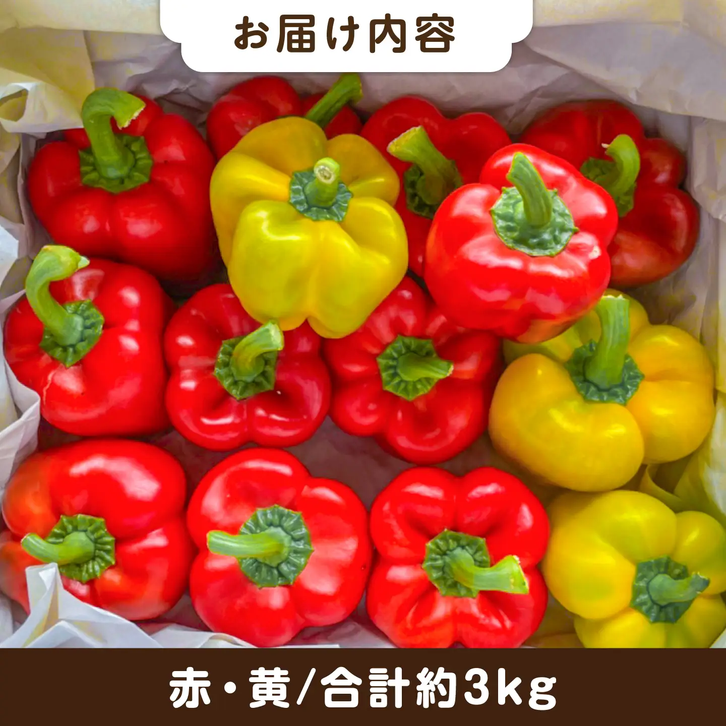 【先行受付】糸島産 肉厚 パプリカ 約3kg(15-23個) 【2026年11月以降順次発送】福岡県  糸島市 / シーブ [AHC032] 野菜 ピーマン