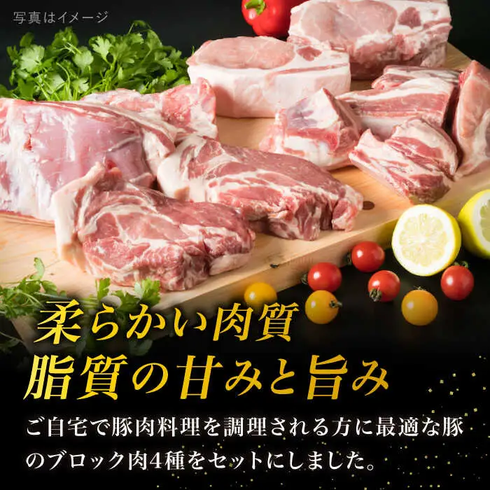 【盛り合わせ】 糸島産豚肉 ブロック 肉 4品 盛合せ セット 約2.8kg 糸島市/糸島ミートデリ工房 [ACA022] 豚肉 ブロック 真空