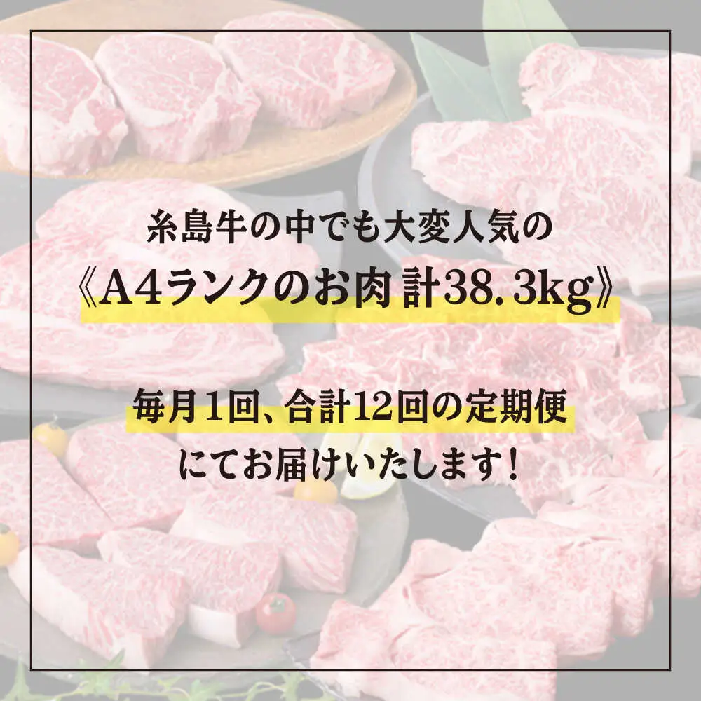 【全12回定期便】A4ランク 糸島 黒毛和牛 プレミアム セット 福岡県産 糸島市/糸島ミートデリ工房 [ACA076]
