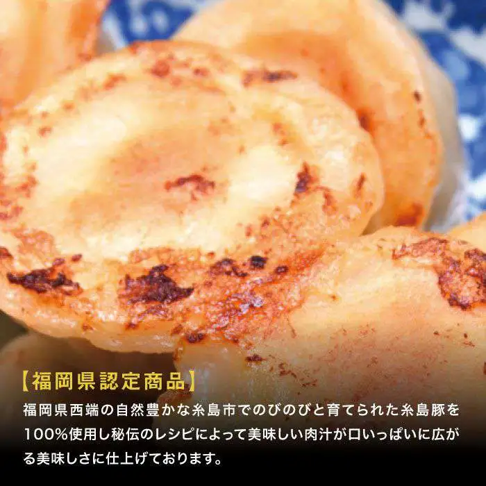 元祖・糸島豚籠包 18個入り(6個×3箱) 糸島市 / 食工房たまひろ [ASA003]