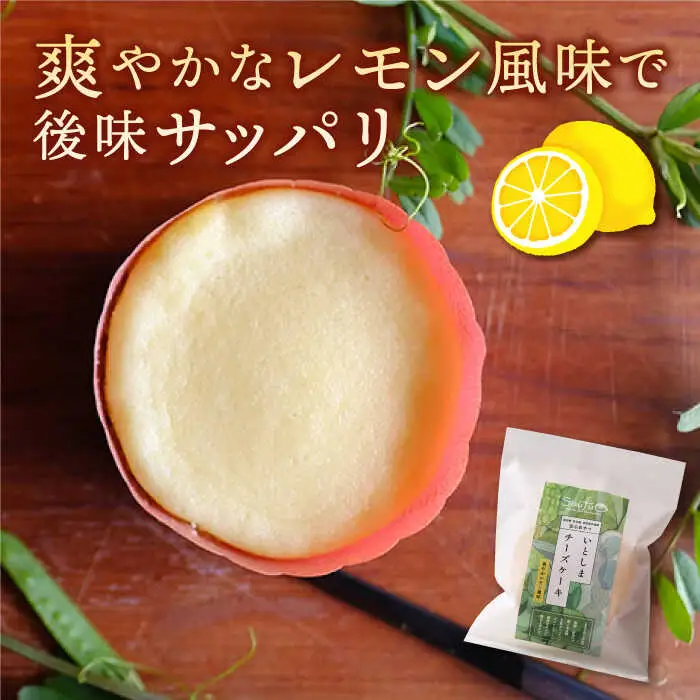 【お中元対象】無添加 チーズ のいとしまチーズケーキ【 5個 セット】[ATA002]