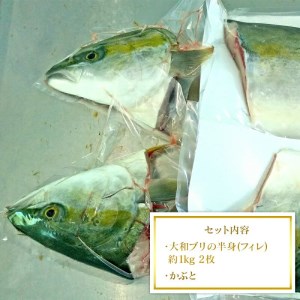 【大和ブリ】半身(ﾌｨﾚ)約1kg×2枚かぶと付き N072-YD0190