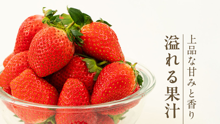 《 2027年 収穫分 》 完熟 かおり野 260g×4パック KEK 国産 いちご イチゴ 苺 くだもの 果物 フルーツ 冬 春 旬 [BC032sa]