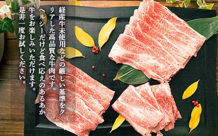 GI認証 くまもと あか牛 すき焼き用 切り落し 300g×2 計600g