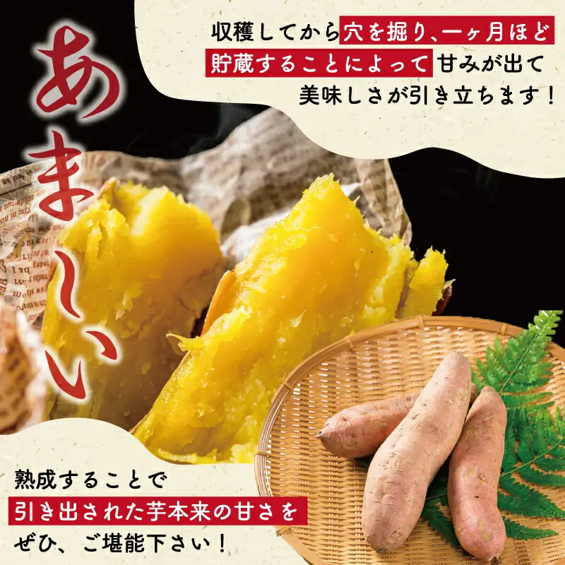 安納芋 2kg 北山さんちのさつまいも安納芋